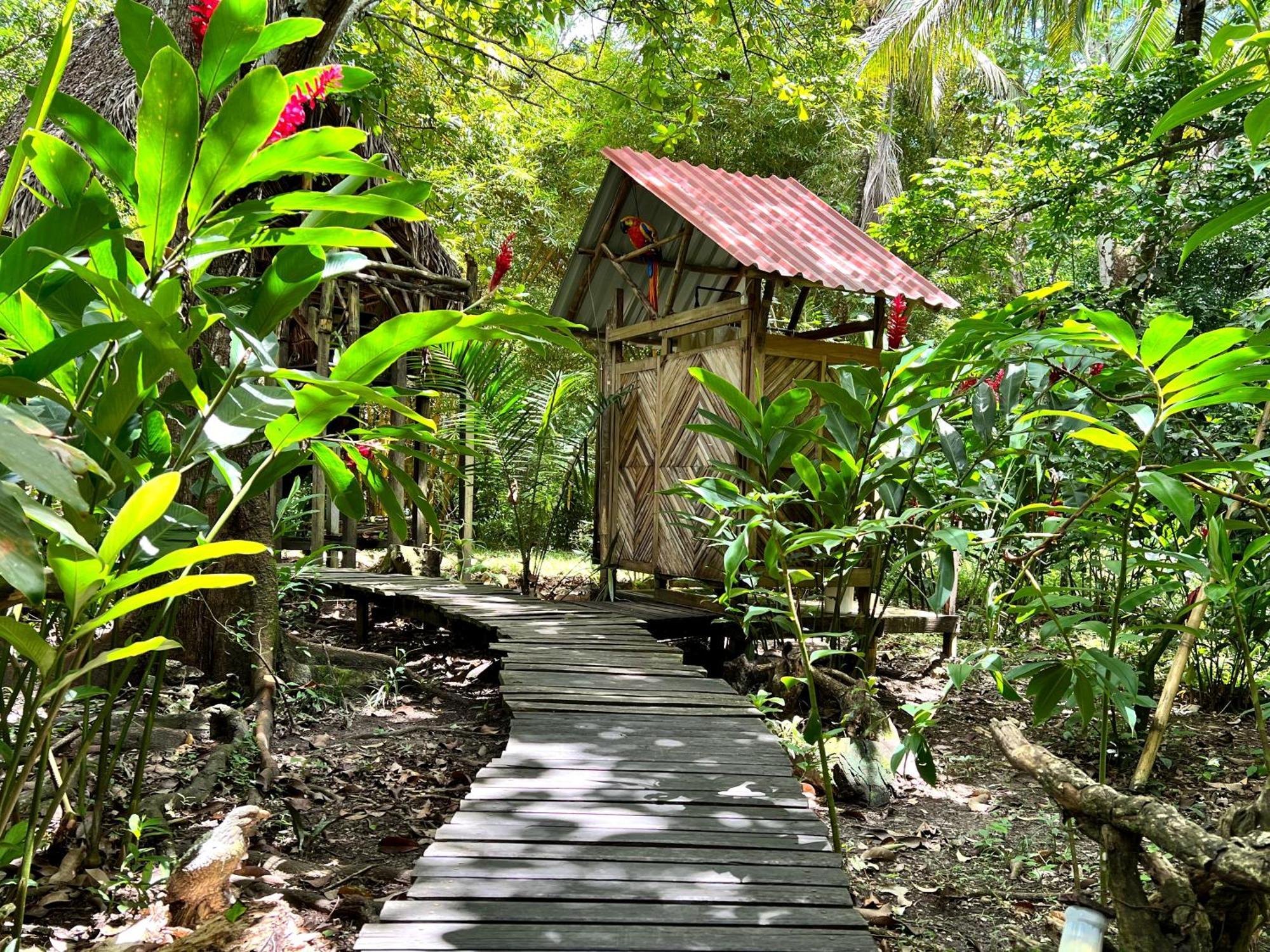 Cabanas Bambutan Паленке Номер фото